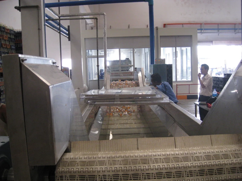 EDELSTEIN multi-lane cup filling and sealing line running in a customer factory