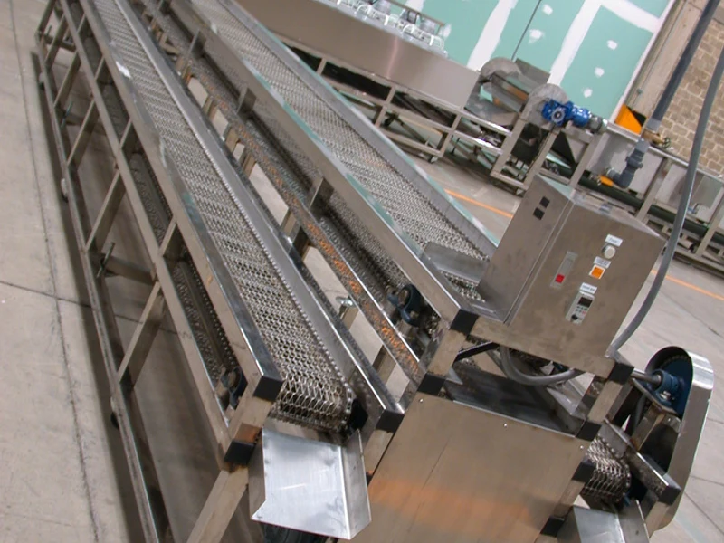 Cooling tunnel conveyor feeding from an EDELSTEIN ice tube filling line