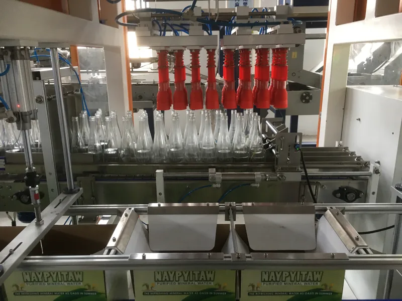 EDELSTEIN grab-type case packer loading glass bottles into cartons on the production floor