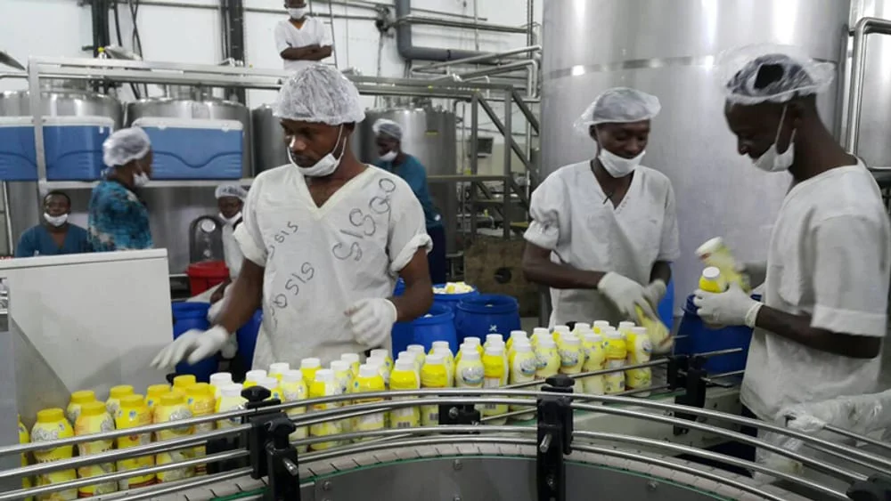 EDELSTEIN turnkey yogurt bottle production line